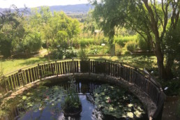 A round pound in a park in Provence